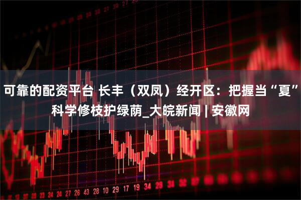 可靠的配资平台 长丰（双凤）经开区：把握当“夏”科学修枝护绿荫_大皖新闻 | 安徽网