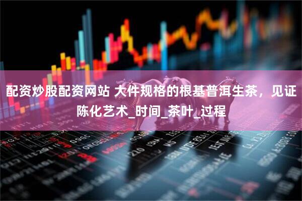 配资炒股配资网站 大件规格的根基普洱生茶，见证陈化艺术_时间_茶叶_过程